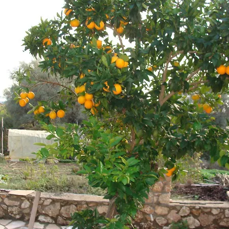 Διαμέρισμα βίλλα γαλήνη